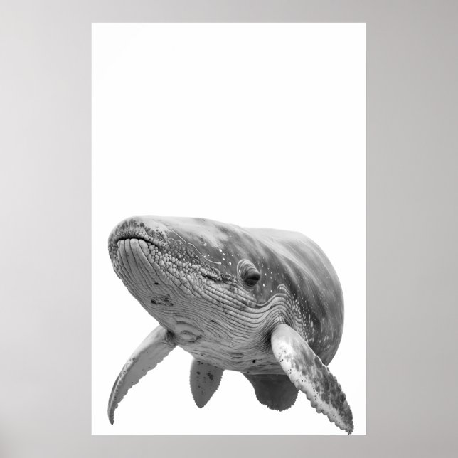 Modern Whale Portrait black white   Poster (Front)