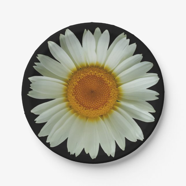 Modern White Daisy on Black Paper Plates (Front)