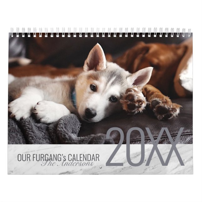 Modern White Marble - Custom Two-Page Pet Photo Calendar (Cover)