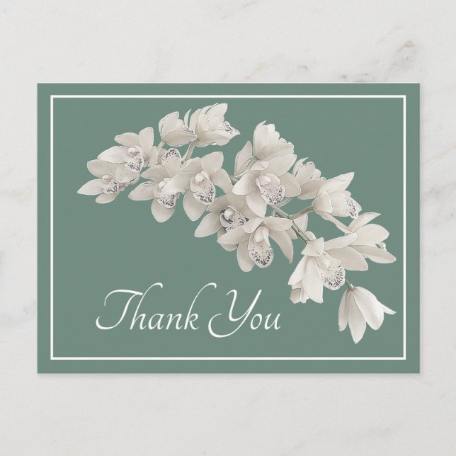 Modern White Orchid Elegant Botanical Thank You Postcard (Front)