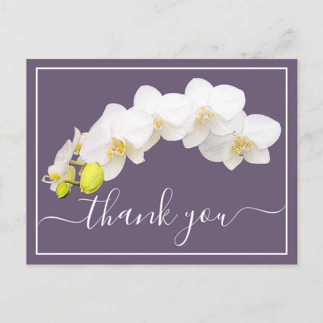 Modern White Orchid Elegant Botanical Thank You Postcard (Front)