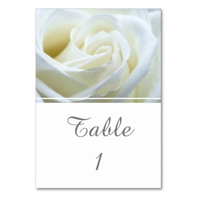 Modern White Rose Table Number (Front)