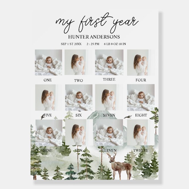 Modern Winter Forest Deer Baby’s First Year Foam Board (Front)