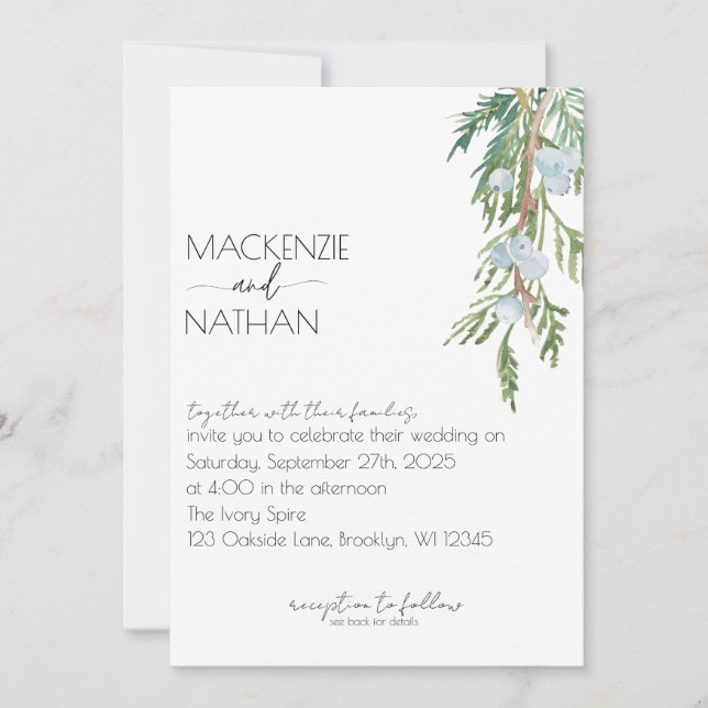 Modern Winter Wedding Frosted Berries Invitation (Front)