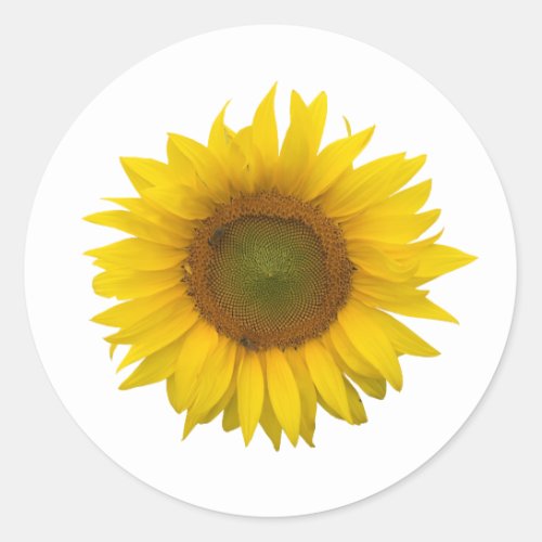 Modern Yellow Sunflower Country Floral Classic Round Sticker