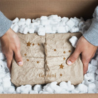 Modern Zodiac Sign Gold Gemini | Element Air 