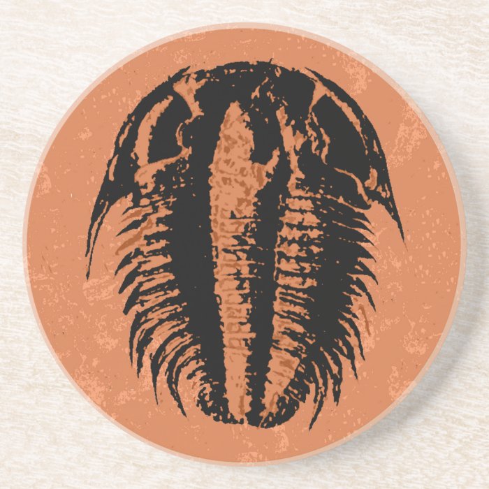 Modocia Typicalis fossil trilobite Coaster