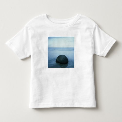 Moeraki Boulders Toddler T_shirt