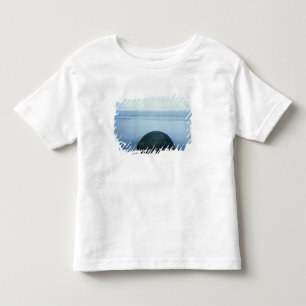 Moeraki Boulders Toddler T-shirt