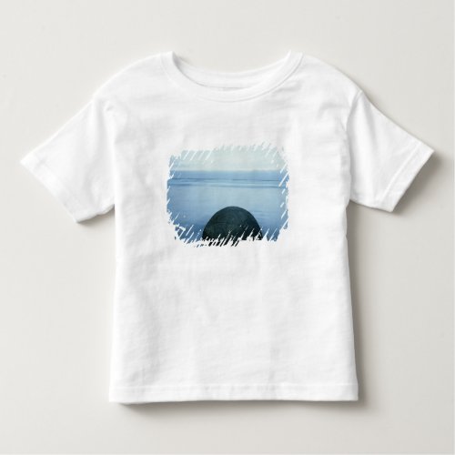 Moeraki Boulders Toddler T_shirt