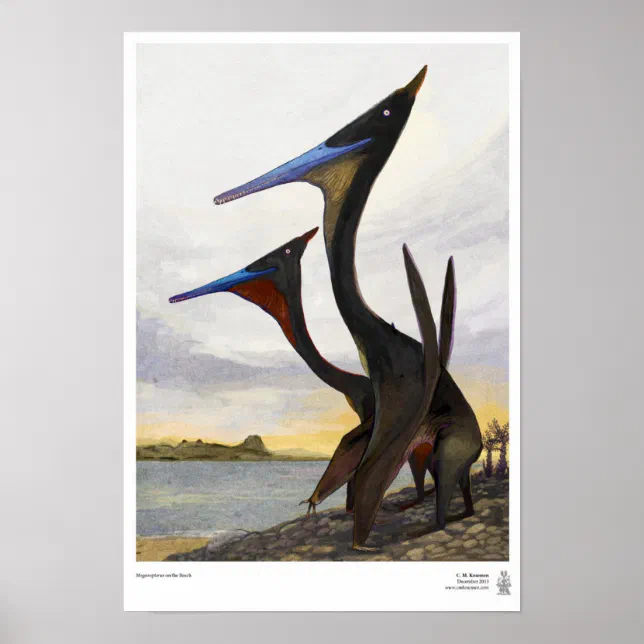 Moganopterus Moganopterus at the Beach Poster | Zazzle