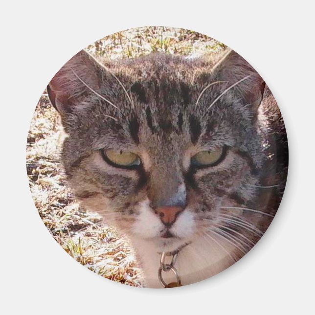 MOGGY MAGNET (Front)