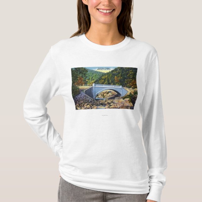 Mohawk Trail View of Cold River Bridge T-Shirt (Front)