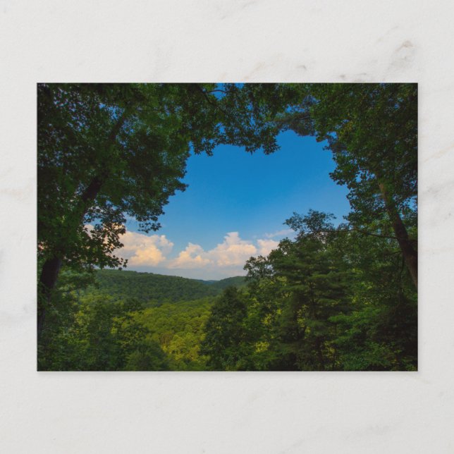 Mohican Gorge, Mohican State Park, Ohio Postcard (Front)