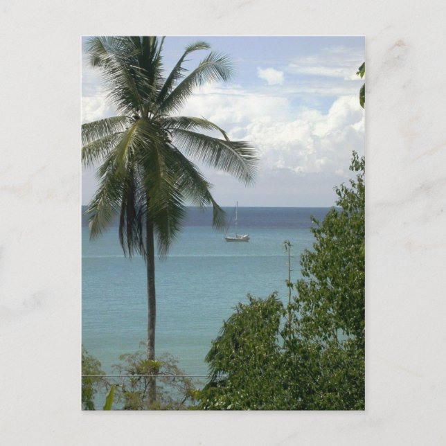 Moira at anchor, Bahia Drake, Costa Rica Postcard (Front)