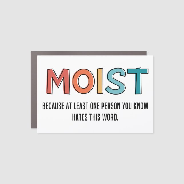 Moist Funny Saying Moist Humor Funny Gifts Car Magnet (Front)