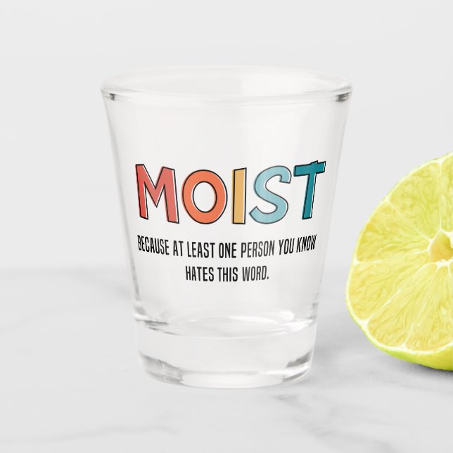 Moist Funny Saying Moist Humor Funny Gifts Shot Glass (Front)
