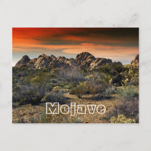 Mojave Desert, California Postcard