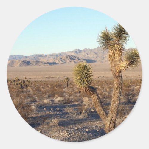 Mojave Desert scene 01 Classic Round Sticker