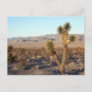 Mojave Desert scene 01 Postcard