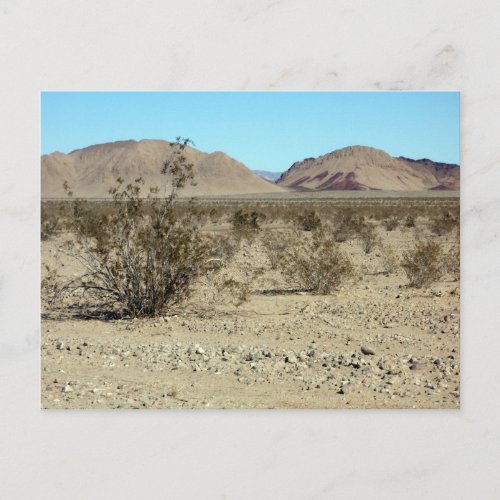 Mojave Desert scene 02 Postcard