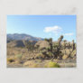 Mojave Desert scene 06 Postcard