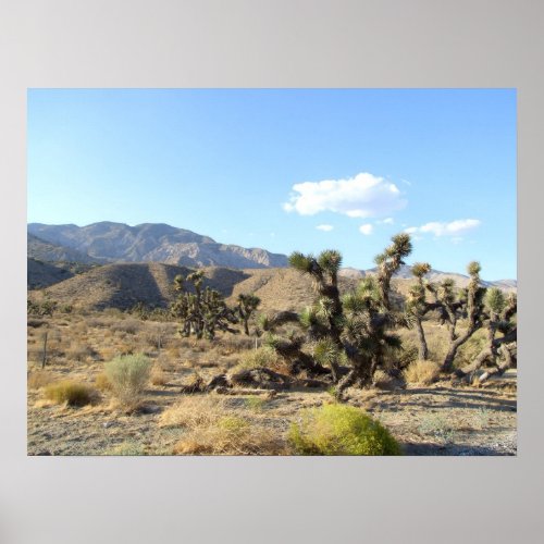 Mojave Desert scene 06 Poster
