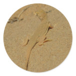 Mojave Fringe-Toed Lizard Classic Round Sticker