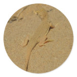 Mojave Fringe-Toed Lizard Classic Round Sticker