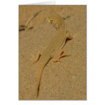 Mojave Fringe-Toed Lizard Desert Photography Card