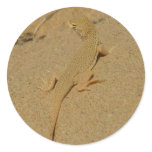 Mojave Fringe-Toed Lizard Desert Photography Classic Round Sticker