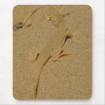 Mojave Fringe-Toed Lizard Desert Photography Mouse Pad