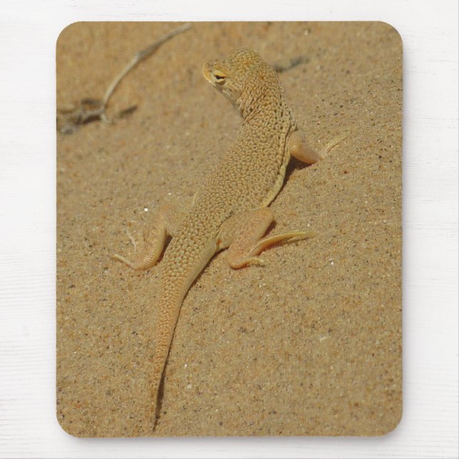 Mojave Fringe-Toed Lizard Mouse Pad (Front)