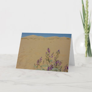 Mojave Indigo Bush and Kelso Dunes Card