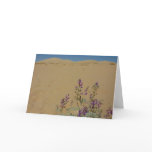 Mojave Indigo Bush and Kelso Dunes Card