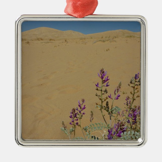 Mojave Indigo Bush and Kelso Dunes Metal Ornament (Front)