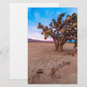 Mojave Joshua Tree (Front/Back)