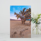 Mojave Joshua Tree (Standing Front)