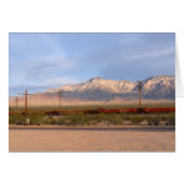 Mojave National Preserve California (Front Horizontal)