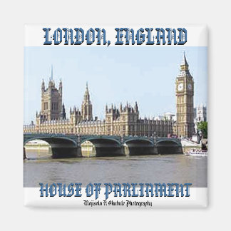 Mojisola A Okubule House of Parliament Photography Magnet