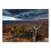 Moki Dugway Thunderstorm - Southern Utah (Front Horizontal)