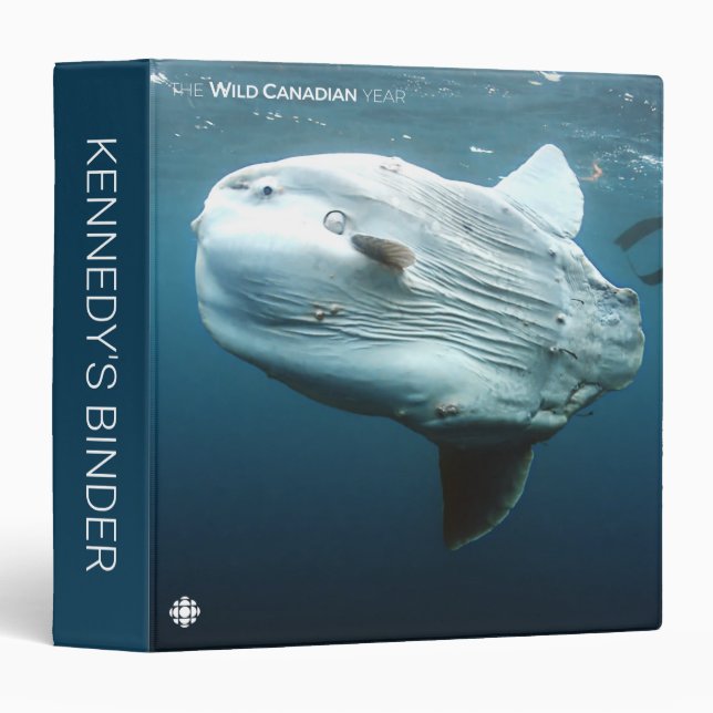 Mola Mola 3 Ring Binder (Front/Spine)