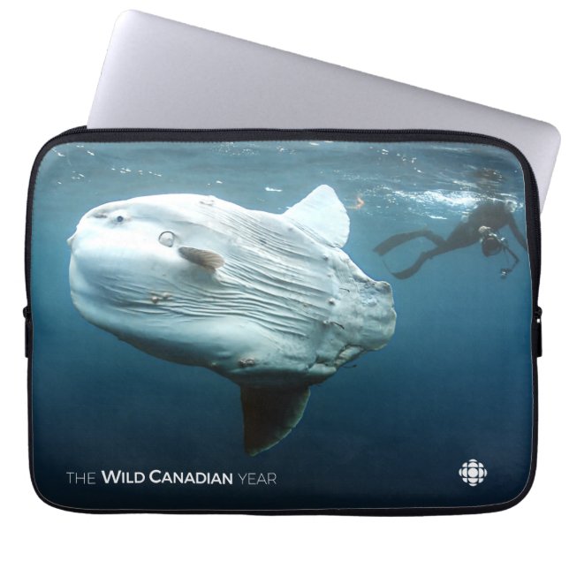 Mola Mola Laptop Sleeve (Front)