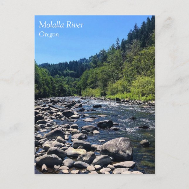 Molalla River, OR Postcard (Front)