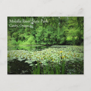 Molalla River State Park, Canby, Oregon Postcard