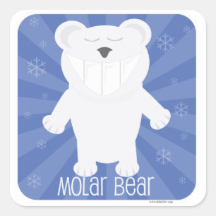 Molar Bear Fun White Animal Cartoon Design Square Sticker