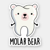 Polar Bear Funny Science Bear Pun Classic Round Sticker, Zazzle