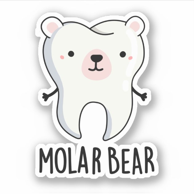 Molar bear deals