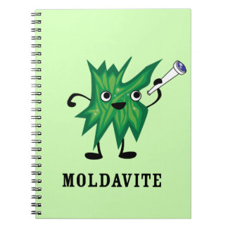 Moldavite Notebook