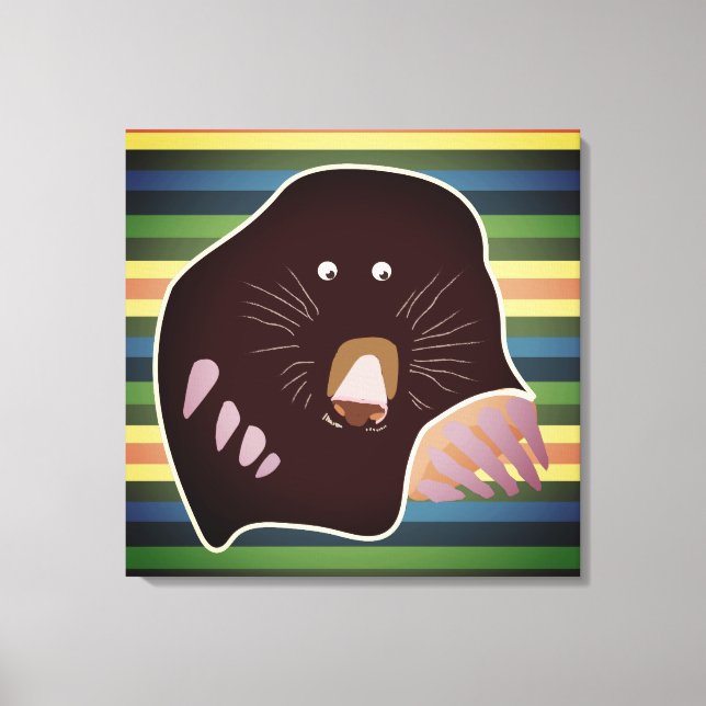 Mole and Stripes Wrapped Canvas Print (Front)